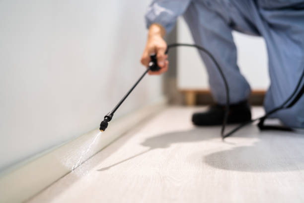 Licensed Mosquito Control service in Friendswood, TX - Show Me Pest Control