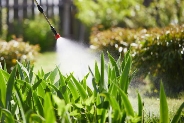 24/7 Emergency Mosquito Control experts in Friendswood, TX